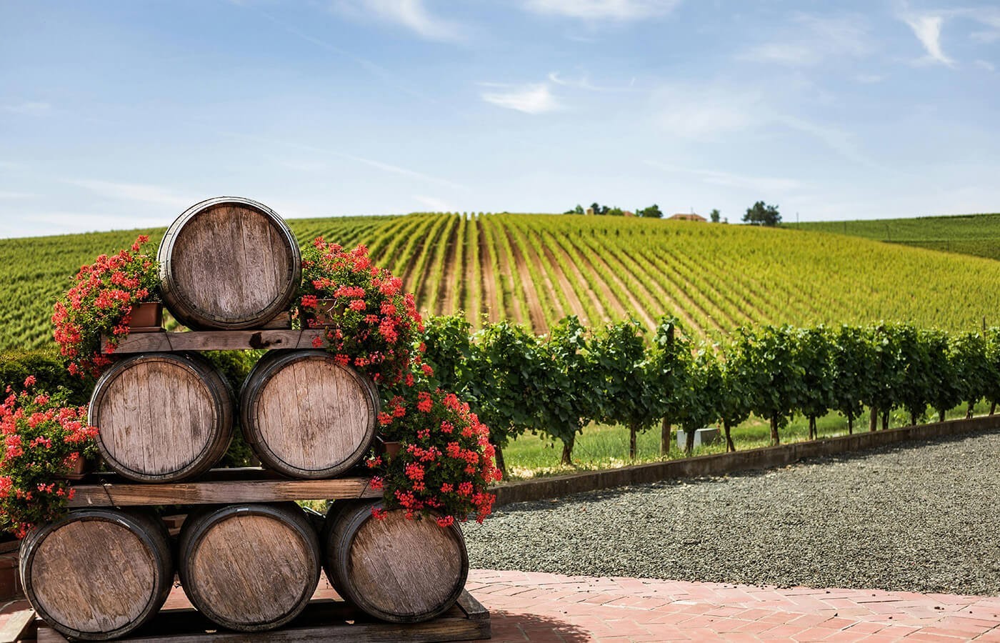 A premier producer of Napa valley wines